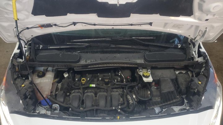 Ford TRANSIT CONNECT XLT 2020