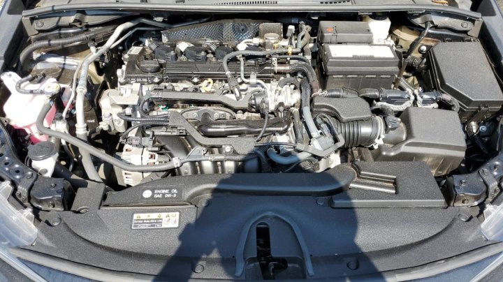 Toyota Corolla LE 2024