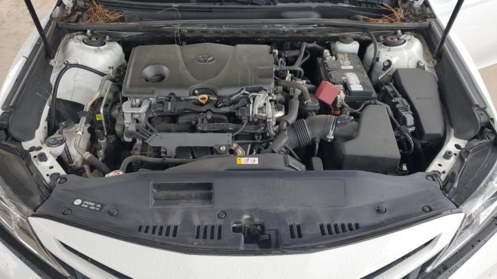 Toyota Camry L 2019