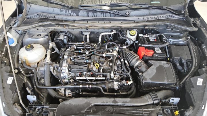 Ford Escape SE 2021