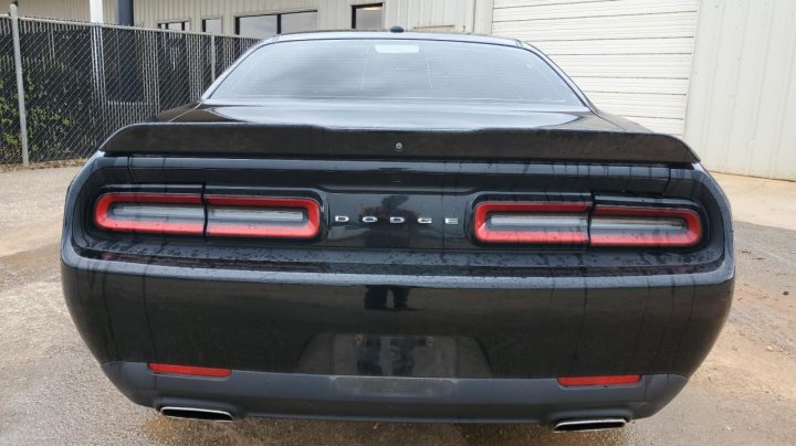 Dodge Challenger  2019