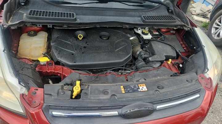 Ford Escape SE 2015