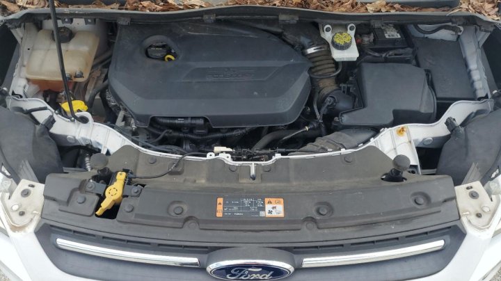 Ford Escape SE 2015