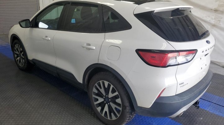 Ford Escape SE SPORT 2020
