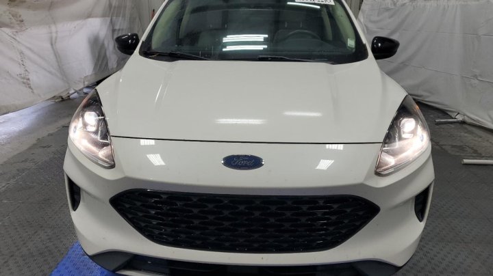 Ford Escape SE SPORT 2020