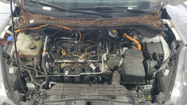 Ford Escape SE SPORT 2020