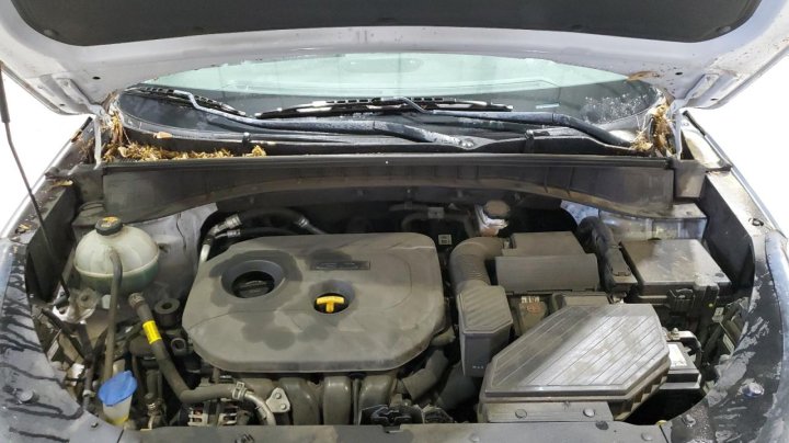 Hyundai Tucson SE 2019