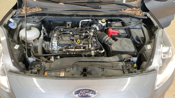 Ford Escape SE 2022