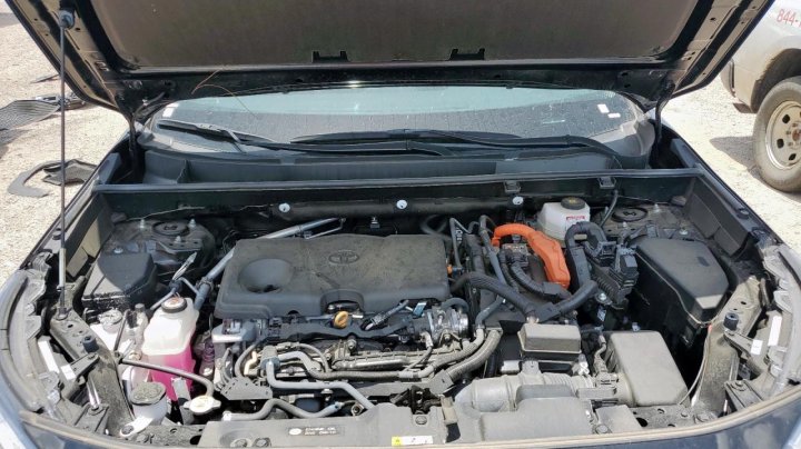 Toyota RAV4 LE 2024