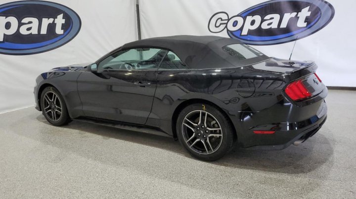 Ford MUSTANG  2023
