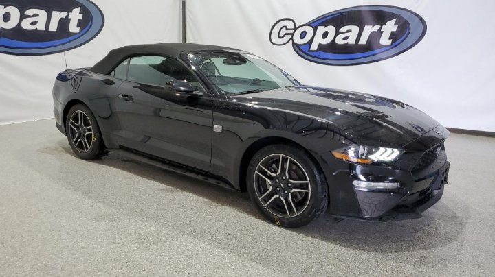 Ford MUSTANG  2023