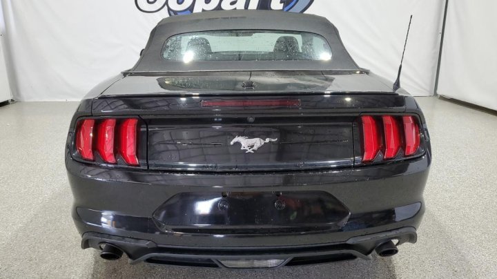 Ford MUSTANG  2023