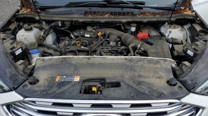 Ford EDGE SEL 2020