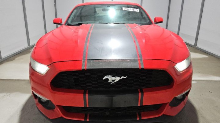 Ford MUSTANG  2015