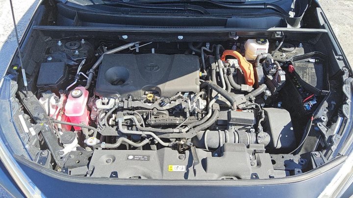 Toyota RAV4 LE 2024