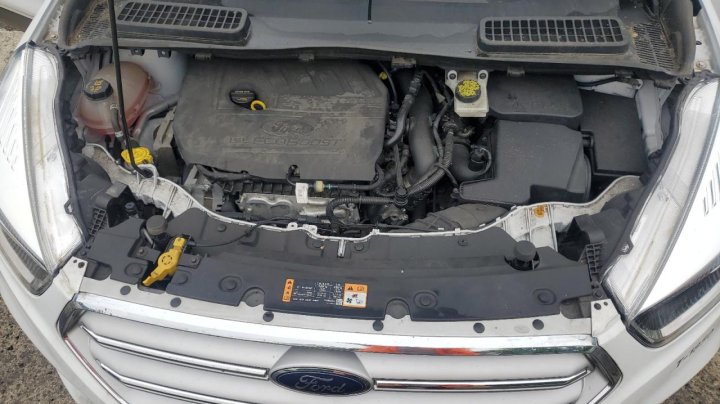 Ford Escape SE 2018