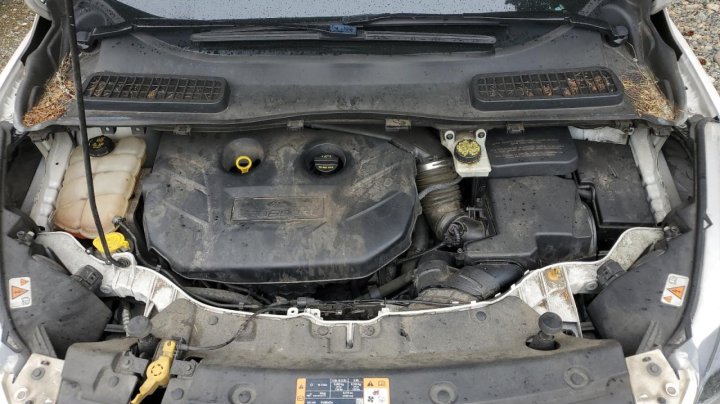 Ford Escape  2015