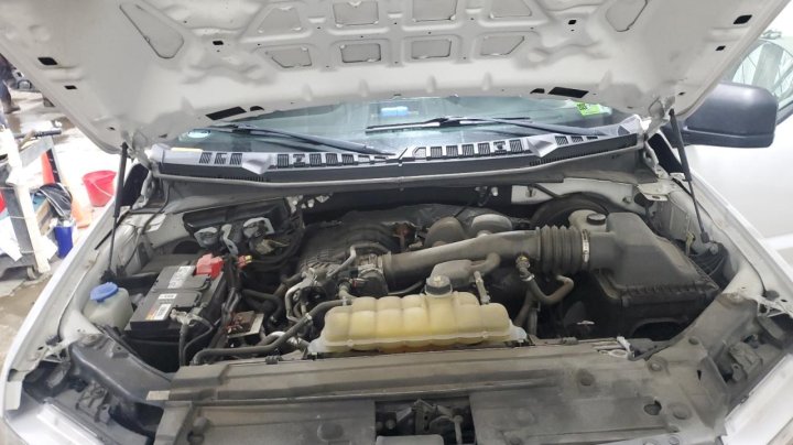 Ford F150  2019
