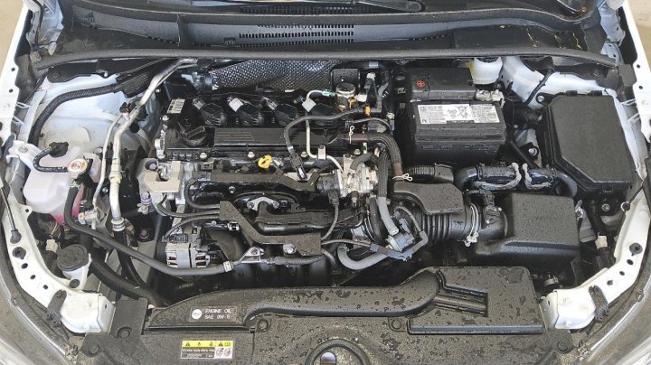 Toyota Corolla  2024