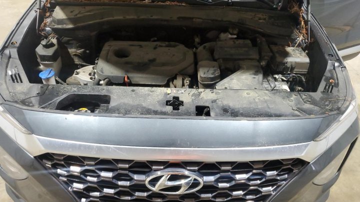 Hyundai Santa Fe  2020
