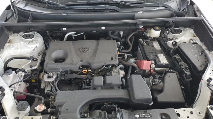 Toyota RAV4  2024