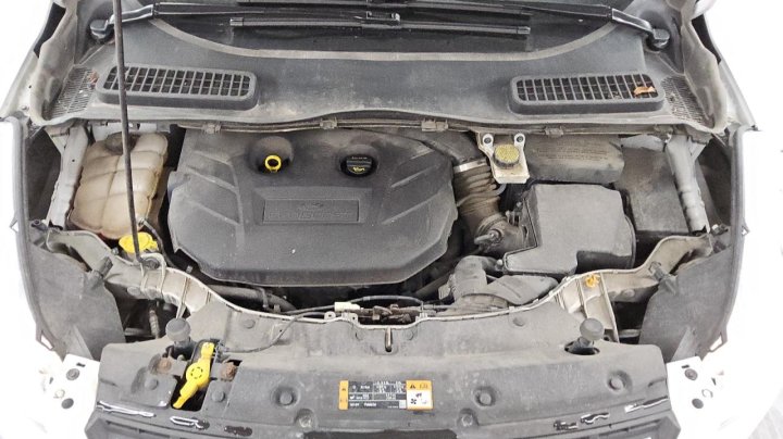 Ford Escape  2015