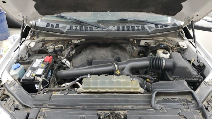 Ford F150  2019