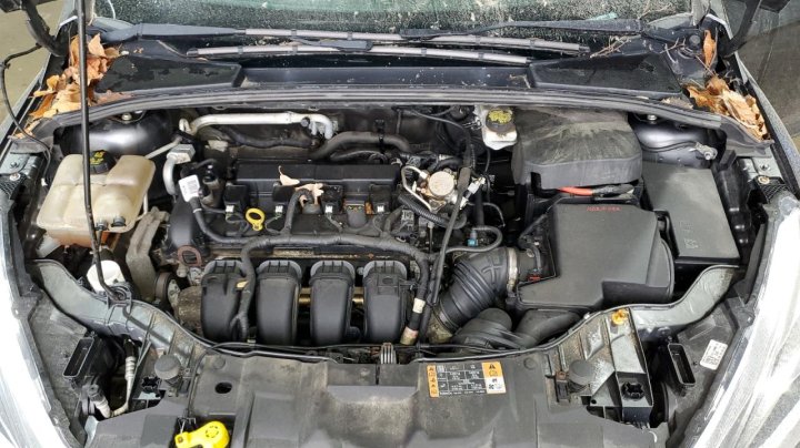 Ford Focus  2018