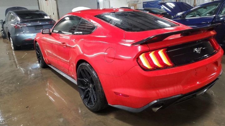 Ford MUSTANG  2019