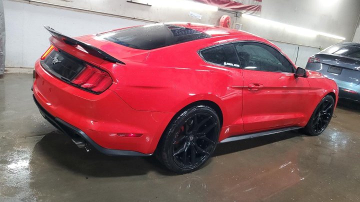 Ford MUSTANG  2019