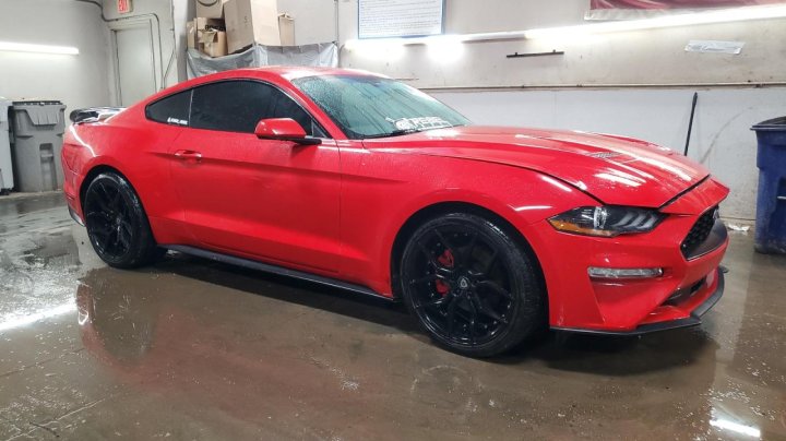 Ford MUSTANG  2019