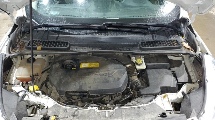 Ford Escape  2016