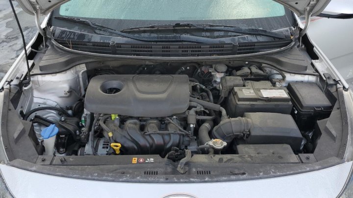 KIA RIO  2019