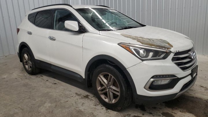 Hyundai SANTA FE SPORT  2017