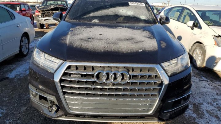 Audi Q7  2019