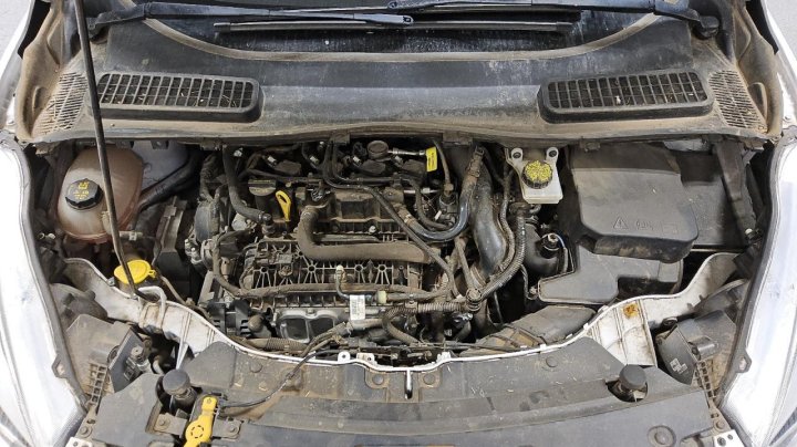 Ford Escape  2019