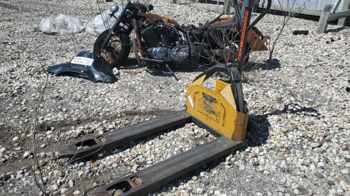 Bhnw Palletjack  2019