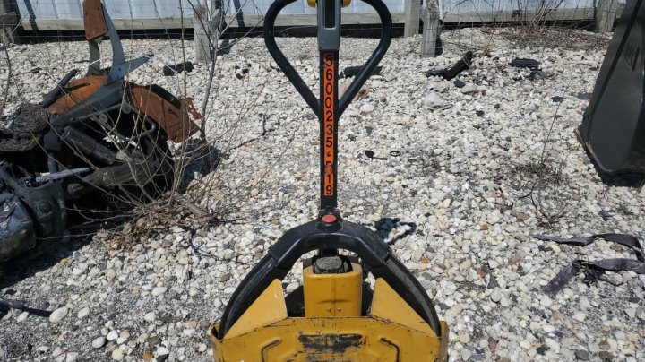 Bhnw Palletjack  2019