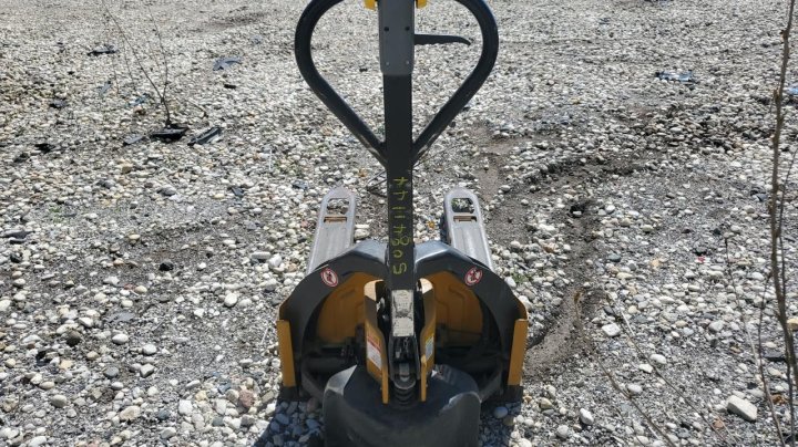 Bhnw Palletjack  2019
