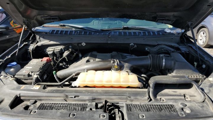 Ford EXPEDITION PLATINUM 2018