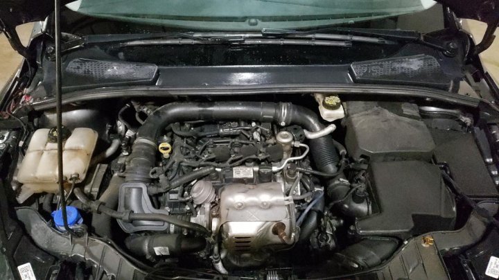 Ford Focus SE 2017