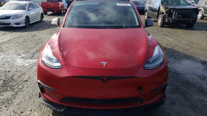 Tesla Model Y  2021