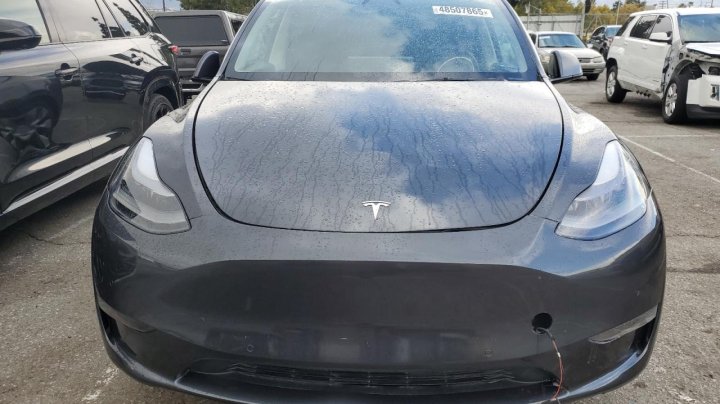 Tesla Model Y  2024