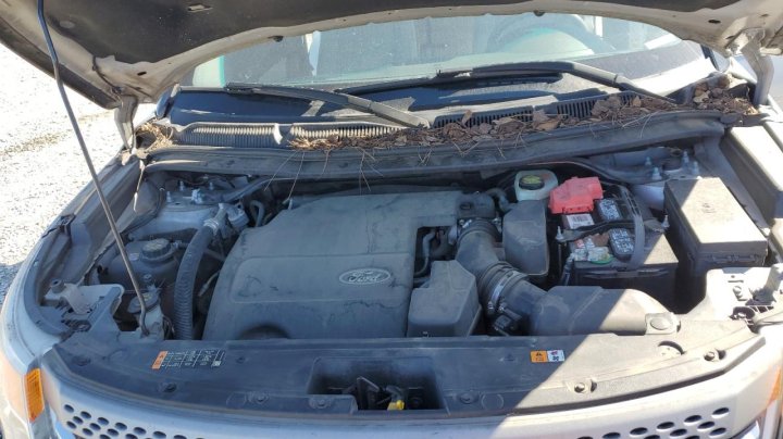 Ford Explorer  2015
