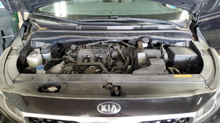 KIA Sedona L 2016