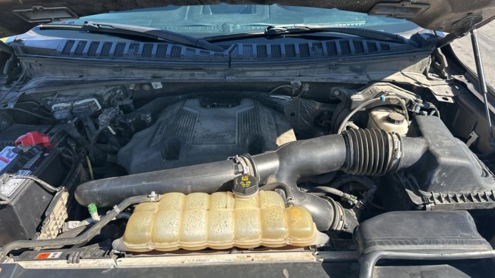 Ford EXPEDITION XL 2019