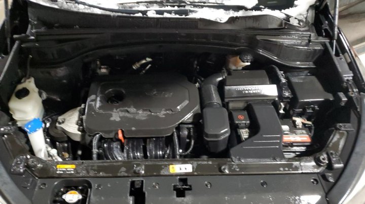 Hyundai SANTA FE SPORT  2017