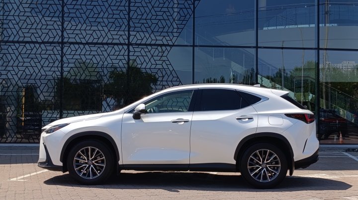 Lexus Nx Business 2022