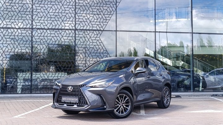 Lexus Nx Executive 2021