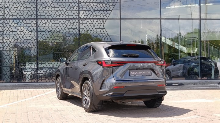Lexus Nx Executive 2021